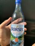 Romaqua Group Apa Plata Borsec 0.33L Sticla