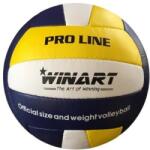 Winart Pro Line Winart 5 minge volei