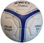 Winart minge handbal Franta