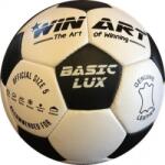 Winart Basic Lux minge fotbal din piele 5