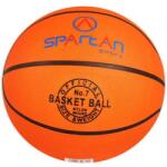 SPARTAN SP Florida 317 minge baschet 7
