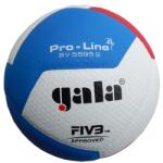  Gala PRO-LINE minge volei BV5595 SA