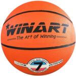 Winart minge baschet 7
