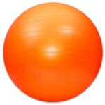 SPARTAN Minge de gimnastică de 85cm Minge fitness