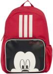 Adidas LK DY MM geanta KR2315 (KR2315) Geanta sport