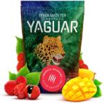 Yaguar Energía Guaraná 0.5kg