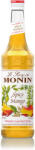 MONIN szirup - Spicy Mango - Special Taste - 0.7L