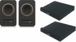 TANNOY Gold 8 Set Boxa activa