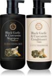 Daeng Gi Meo Ri Black Garlic & Curcumin Hair Care set
