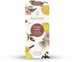 Dallmayr Gyümölcsvarázs tea 25db