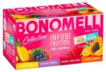 Bonomelli Ceai de fructe cu zmeură, căpșuni, papaya și ananas, 20 plicuri, Bonomelli