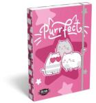 LIZZY Cutie pentru caiete, A4, LIZZYSULI, „Kit tok Stars Purrfect