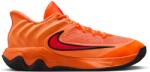 Nike Giannis Immortality 4 (fq3680-800)