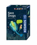 Kosmos Set educativ STEM - Animale marine