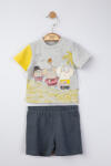 Tongs baby Set tricou de vara cu pantalonasi pentru bebelusi Swim, Tongs baby (Culoare: Gri, Marime: 18-24 Luni)