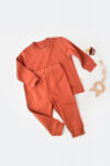 BabyCosy Set bluzita cu maneca lunga si pantaloni lungi - bumbac organic 100% - Scortisoara, BabyCosy (Marime: 6-9 luni)