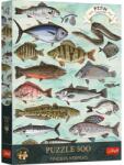 Trefl Puzzle Trefl 500 piese Premium Plus Finders Keepers Pesti (37609) Puzzle