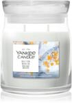Yankee Candle Silver Birch lumânare parfumată 368 g