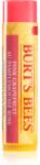 Burt's Bees Lip Balm Pink Grapefruit frissítő balzsam az ajkakra 4.25 g