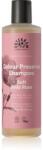 Urtekram Soft Wild Rose sampon delicat pentru păr vopsit 250 ml