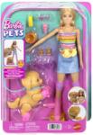 Mattel Barbie Pets Set Papusa Barbie cu Patine cu Rotile Catel si Accesorii (MTJMJ44) Papusa Barbie