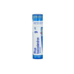 Boiron Rhus Toxicodendron C9 1x 4g Boiron