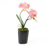 Művirág cserepes gumi orchidea - rózsaszín