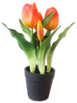  Művirág cserepes gumi tulipán - narancssárga