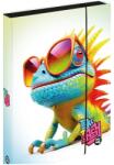 KARTON P+P Jumbo Chameleon A4 füzetbox (OXYBAG_1-46725)