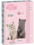 Ars Una Ars Una Cute Animals - Tea Party A5-ös füzettartó box (ARSUNA_50865321)