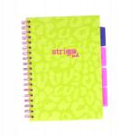 strigo Spirálos Jegyzetfüzet Pads B5/100K Kockás Neon Zöld (5905658813826)