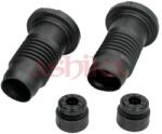 ASHIKA Kit protectie praf, amortizor ASHIKA 159-03-309 (159-03-309)