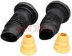 ASHIKA Kit protectie praf, amortizor ASHIKA 159-03-305 (159-03-305)