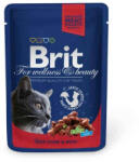Brit Premium beef 12x100 g