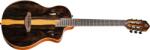 Ortega Guitars RTP-LTD - kytary