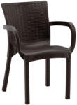Chomik Kerti rattan szék - barna 60x60x82cm 61971 (CT014/BR)