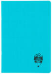 DACO Caiet A4, 100 file Daco CT410AR, 70 g/mp, Matematica, coperta plastic, Turcoaz (CT410AR/TURCOAZ)