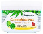  Cannabiderma kender balzsam - 250ml ( Kiszerelés: 250ml )