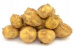  Burgonya 1kg Lengyel (5907516796524)