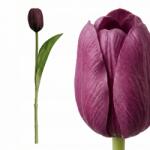  Mesterséges Tulipán Bordó, Mint Élő Virág Váza Csokor Tavaszi Dekoráció (U282)