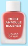 House of HUR Fard de obraz lichid Moist Ampoule Blusher - 10 ml No. 05 Peach Coral