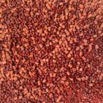 Coppens Pellet Vörös Halibut & Krill Mix 2-6mm 1kg (CP Red Mix)