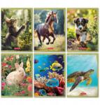 Herlitz Animals füzet A5 16k. 70g színes kockás Herlitz (400196855) (400196855)