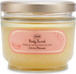 Sabon Exfoliant pentru corp Citrus Blossom, 600g, Sabon