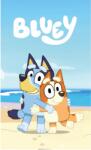  Bluey pamut arc és kéztörlő (30×50)