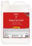 Klintensiv Sapun lichid - Bujori si Frezii, 5 litri (KOS142)
