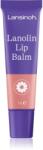 Lansinoh Lanolin Lip Balm lanolinos ajakbalzsam 7 g