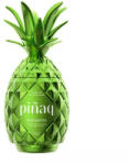 Pinaq Margarita likőr 0, 75l 17%