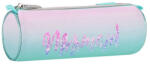 Starpak Penar neechipat Starpak Shell, 1 fermoar, 7.3x21.5x7.3cm, 550942, cilindric (P4634) Penar