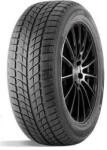 Double Star DOUBLEST DW09 255/55 R20 107H